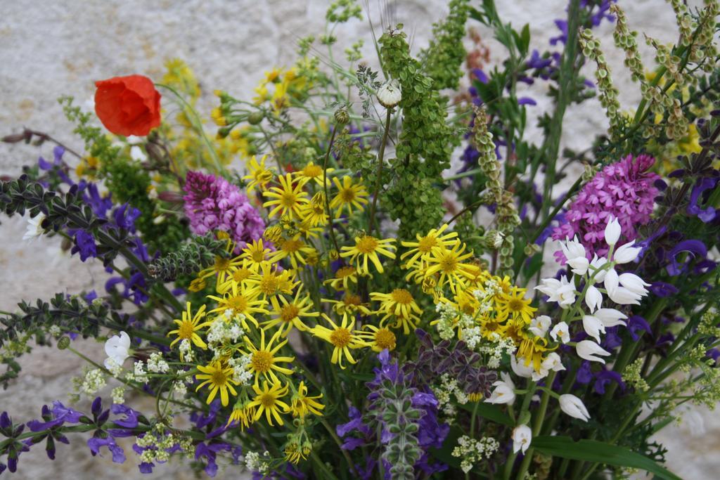 La Perle Du Lot Bed & Breakfast Castelnau-Montratier ภายนอก รูปภาพ